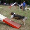 foire-haricots 2011-09-17et18